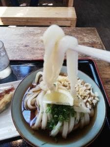 三野うどん いちふじ