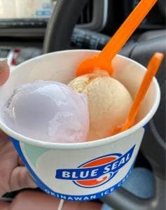 ブルーシールアイスクリーム 福生店BigDip店