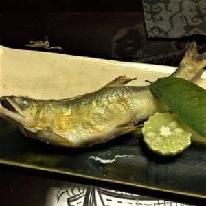 はなせ