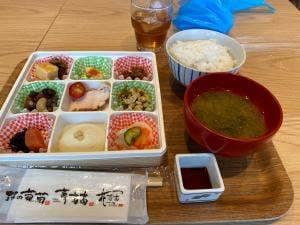 野の葡萄