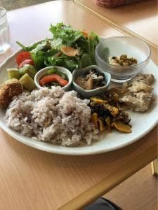 空の駅 風和里しばやま