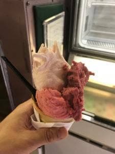 じぇらーとげんき