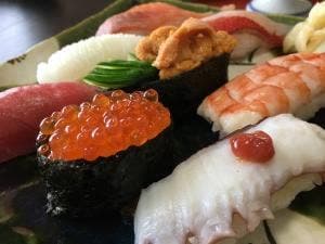 乙菊