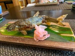 鮎と和洋創作料理 さるとび荘