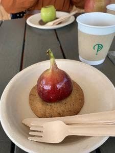 キニナル 魚津埋没林博物館