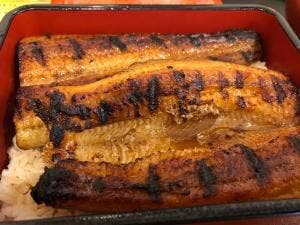 築地ダイニング 金のうなぎ 上野毛店