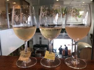 Villa d'Est Gardenfarm And Winery