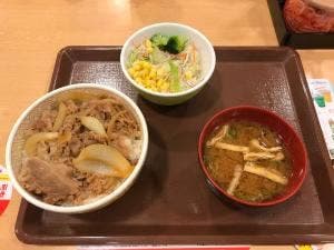 すき家 236号帯広大通店