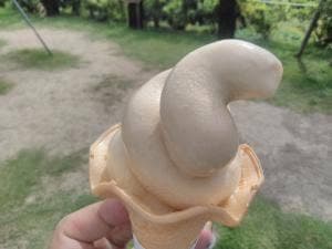 まほろば大仏プリン本舗 東大寺門前夢風ひろば店