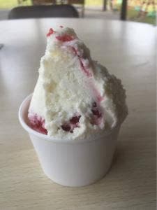Premium Gelato みるく 道の駅 サシバの里いちかい