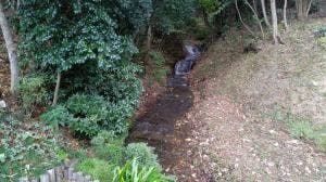 森の家 ウォールデン