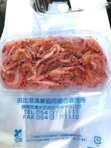 由比港漁協直売所