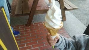 Honey Dew