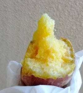 Vショップ 湯の峯温泉店