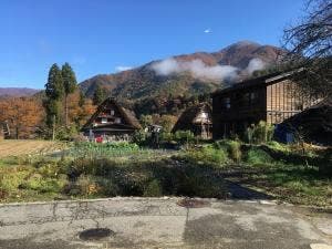 花水木白川