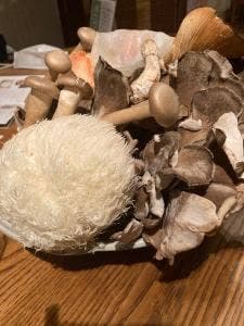 きのこ料理 創士庵