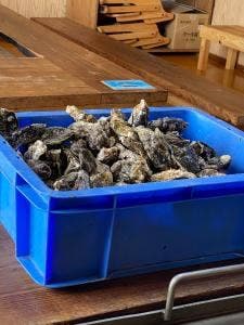 みき水産