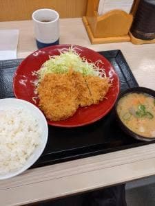 かつや 野田宮崎店