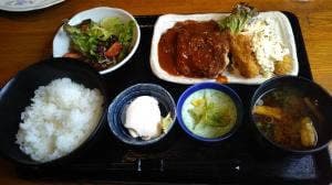 キッチン木の芽