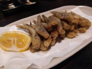 美食鳥