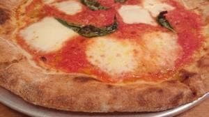 CRITTERS PIZZA