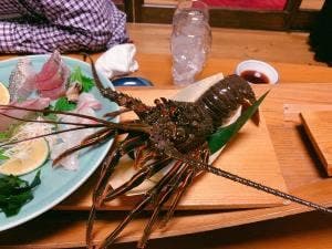 浜咲き