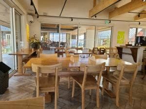 ノキシタカフェ オリーブの小路