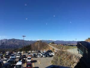 カミーリア ホワイトピアたかす