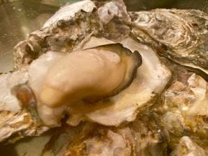 かき小屋 鉄ちゃん 袋町店 海平商店