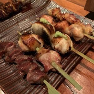 鳥ばか一代