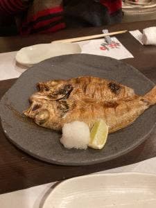 魚楽唐唐