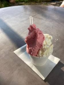 南紀白浜 オリーブ&ジェラート工房