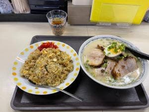 のぎく