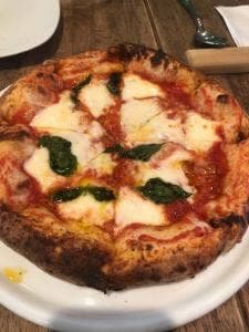 トラットリア フィレンツェ