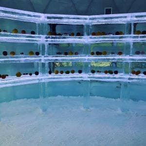 星野リゾート トマム アイスヴィレッジ 氷のフルーツショップ
