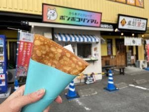 ポンポコリンマム