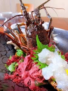 渚館きむら 唐津茶屋