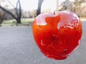 ポムダムールトーキョー