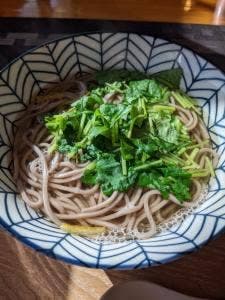湯の川