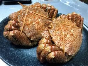 毛蟹工房