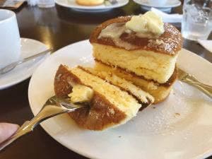 Y's cafe