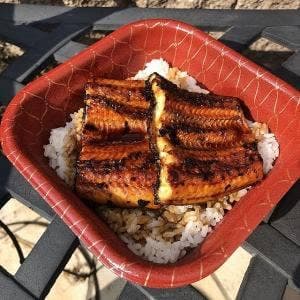 活け活け魚〜魚〜