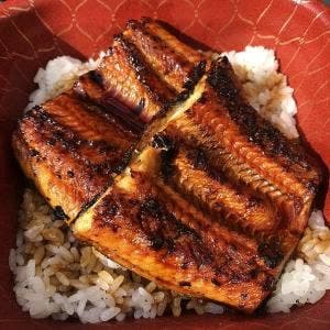 活け活け魚〜魚〜