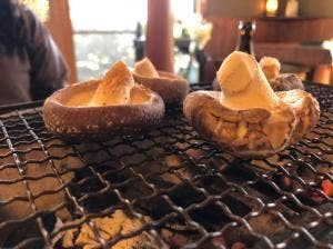 きのこ苑 お山のたいしょう