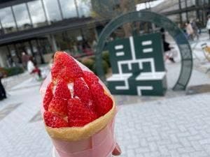 KADODE OOIGAWA カフェ