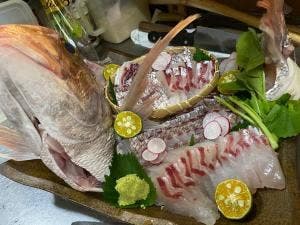 居酒屋 たぼ田