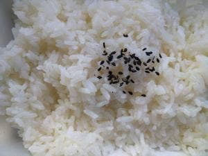 鶏笑 宗像東郷店