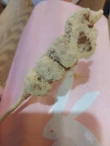 浅草きびだんご あづま