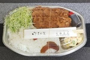 珍豚美人