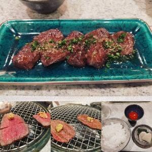 canivor和田